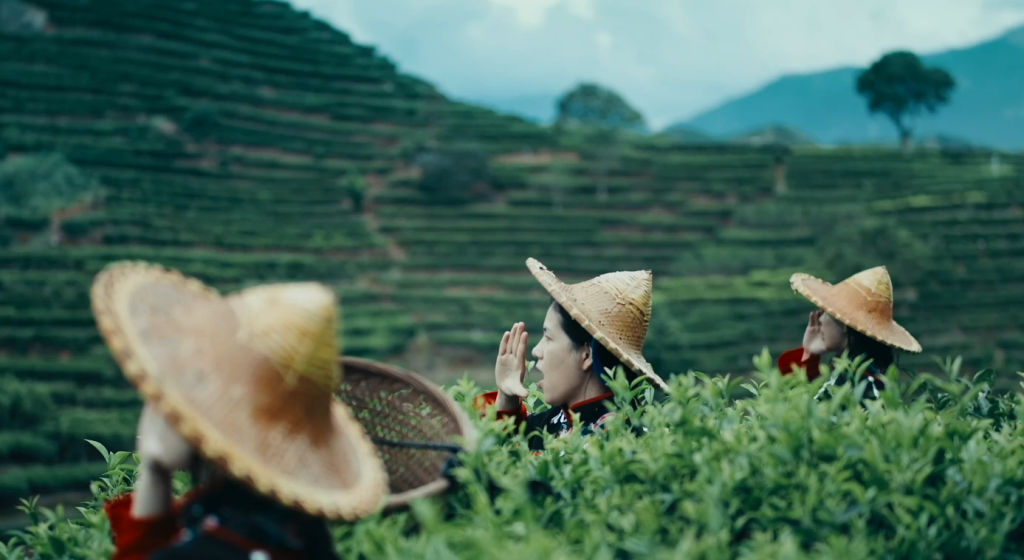 新华网&康师傅《神奇的北纬～茶的传人》茶文化溯源纪录片小房子书-『關於家的百科全書.關於房的視頻指南』小房书-『關於家的百科全書.關於房的視頻指南』