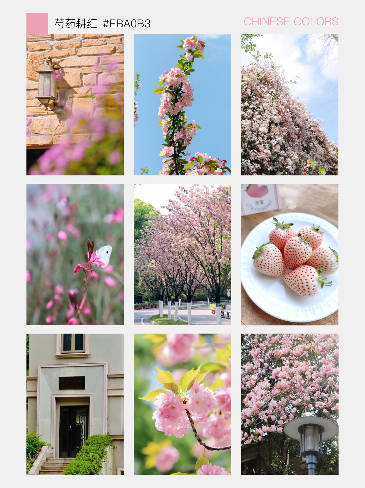 图片[1]小房书-『關於家的百科全書.關於房的視頻指南』麓山国际社区性价比洋房组团“帕萨迪纳”